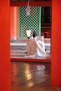 PrÃÂªtre shinto en priÃÂ¨re (sanctuaire d'Itsukushima - Miyajima - Japon)